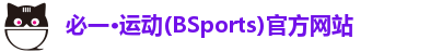必一·运动(BSports)官方网站